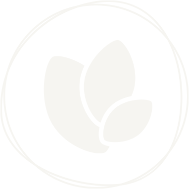insignia